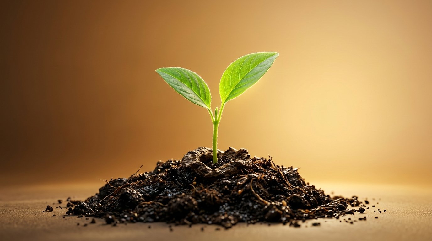 VestaPayCare — Corporate Growth & Payroll Solutions